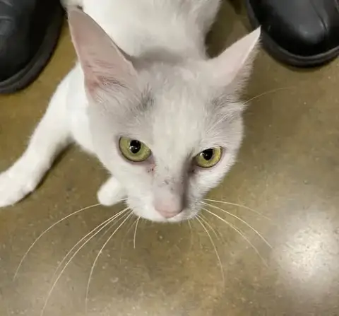 Lana photo 5