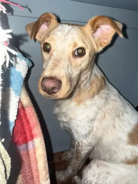 Luna Love photo 4