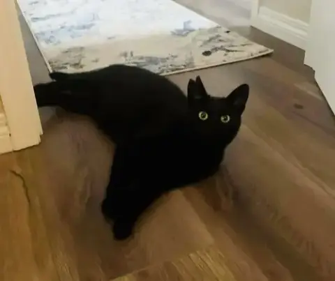 Bijou