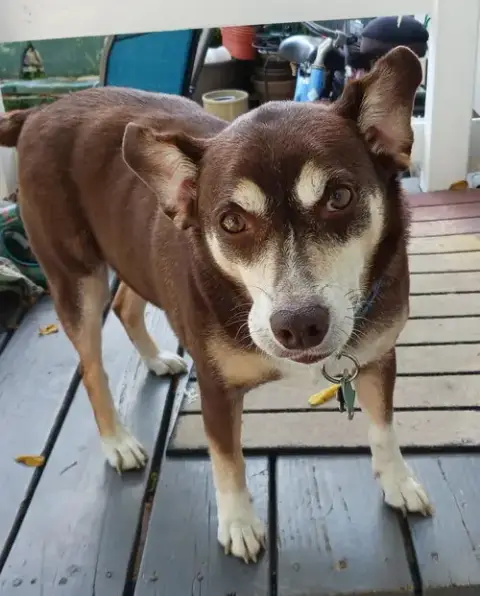 *Riley photo 2