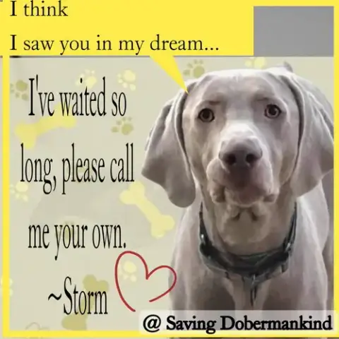 Storm photo 4
