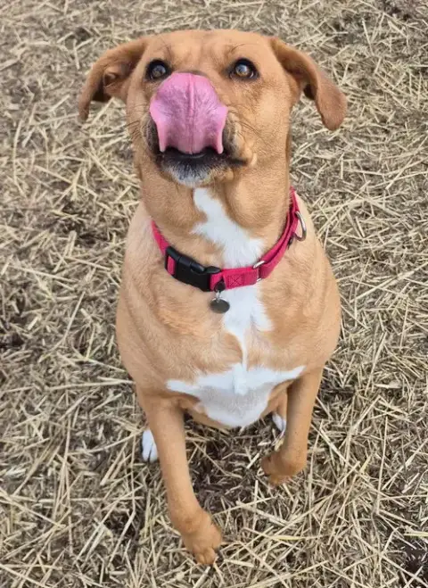 Sasha photo 2