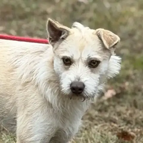 Ella