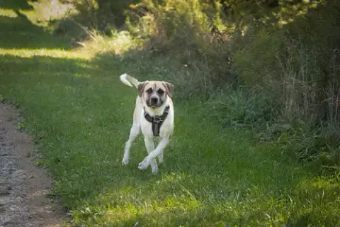 Chance photo 5