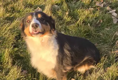 Luna photo 4
