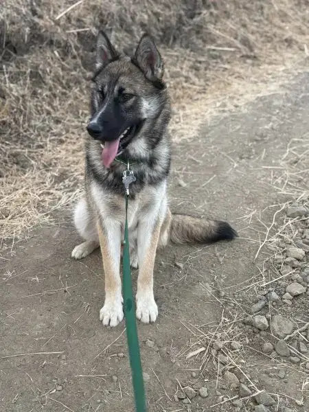 Cooper photo 3