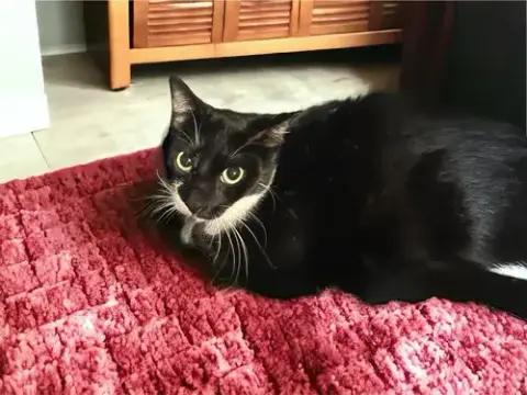Kali photo 2