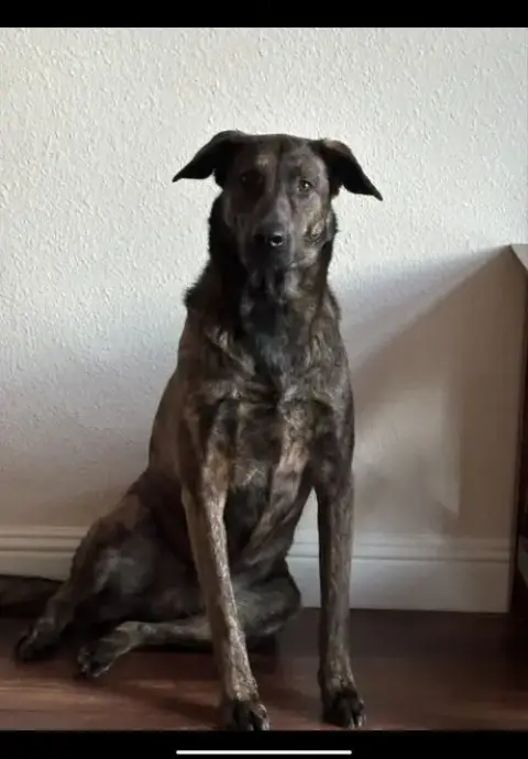 Xena photo 2