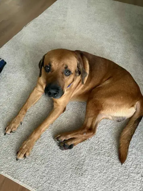Tucker photo 3