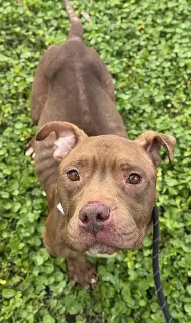 Coco
