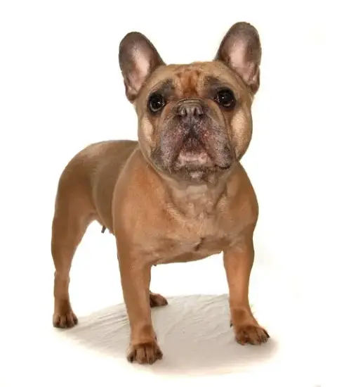Fiona photo 3