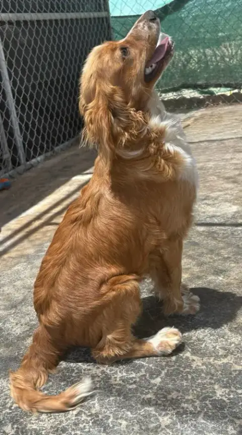 Sunshine