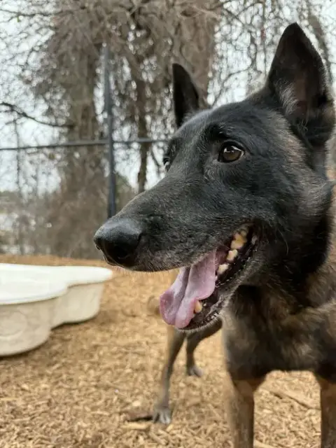 Deputy photo 3