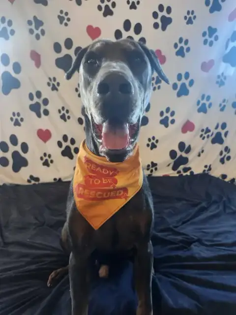 Roscoe