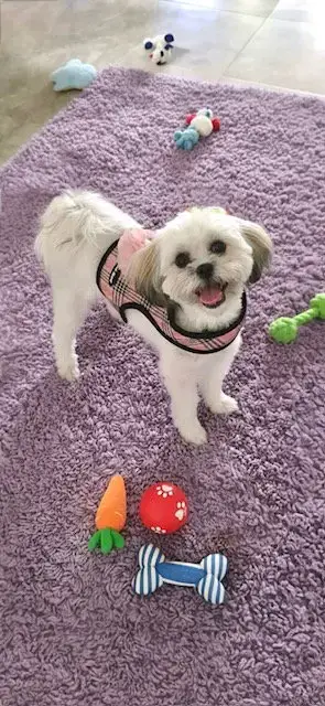 Lola Kay photo 2