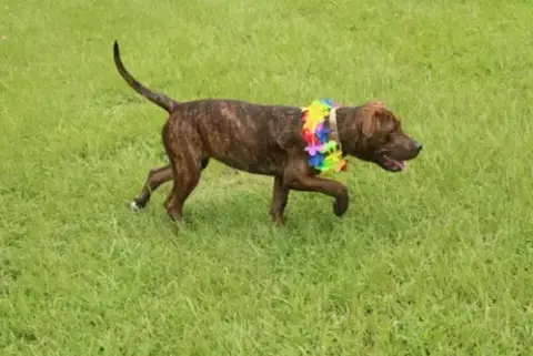 Missy photo 3