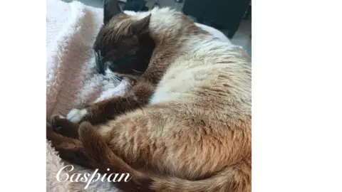 Caspian