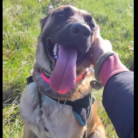 Bella photo 3