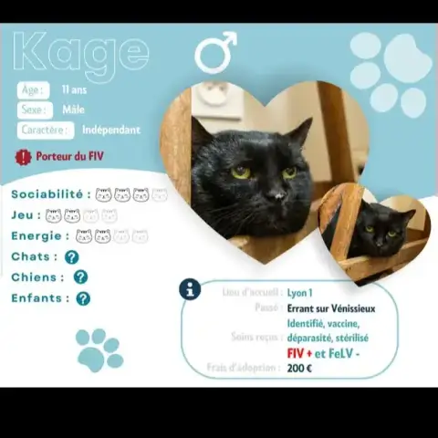 Kage