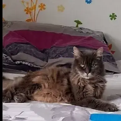 Déesse
