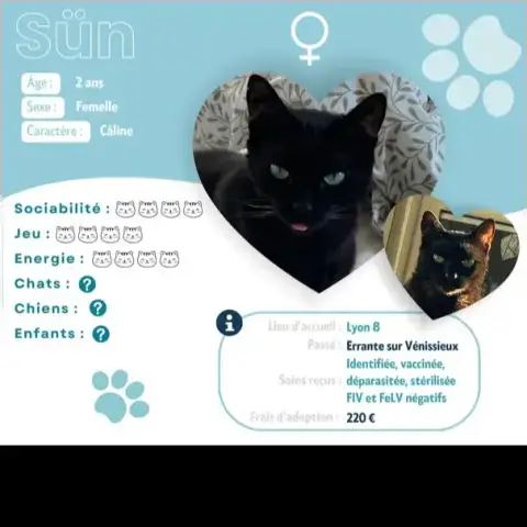 Sün