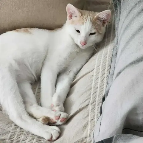 Luka