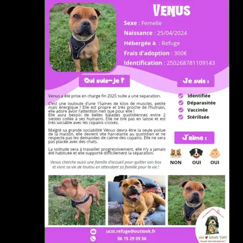 Venus