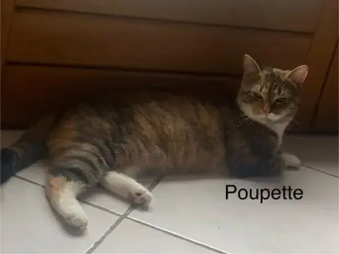 Rafale Et Poupette photo 2