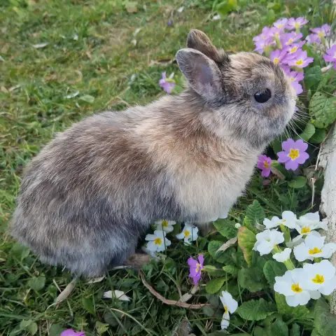 Aiko ♂️ photo 2