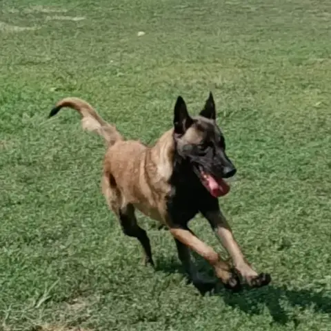Roxy