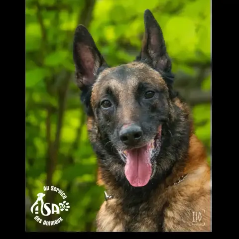 Max