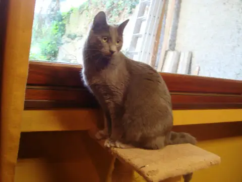 Charly photo 2