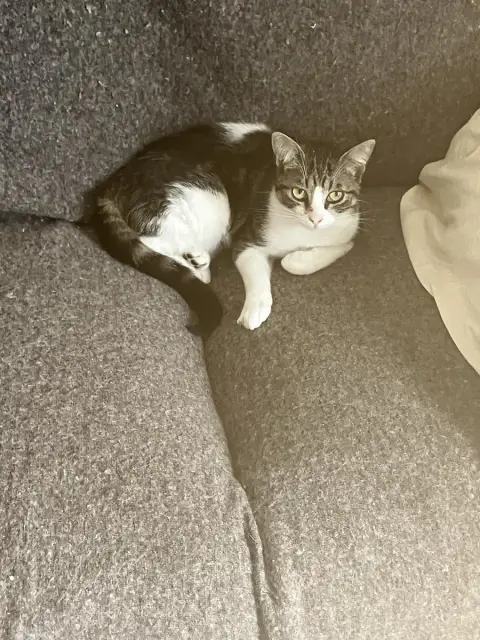 Talula photo 3