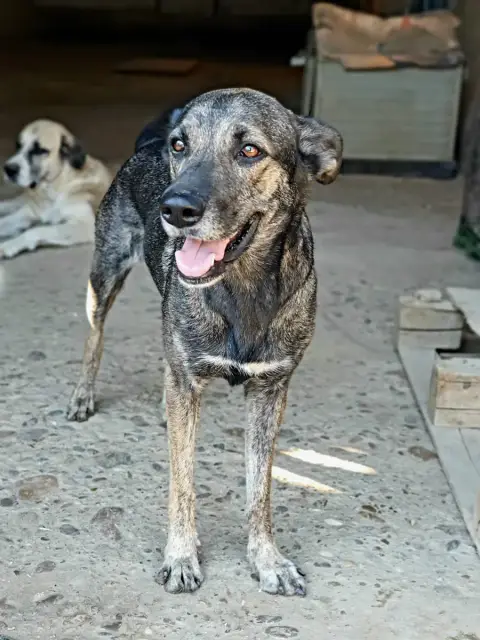 Luna photo 3