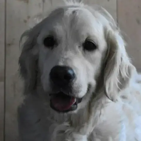 Deby photo 2