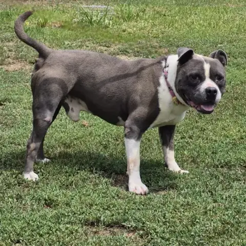 Psyko