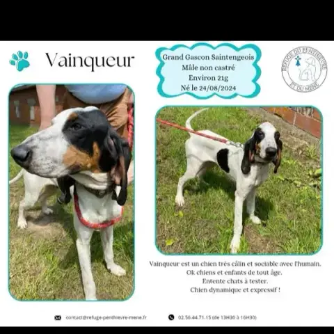 Vainqueur