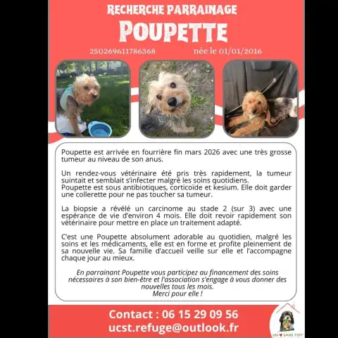 Poupette