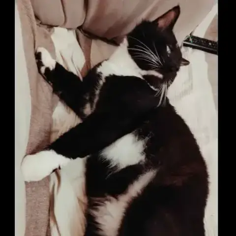 Félix
