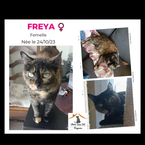 Freya