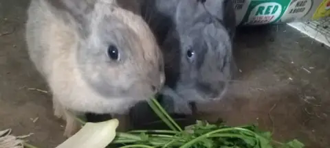 Willy Et Lilou