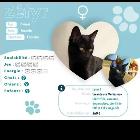 Zéfyr