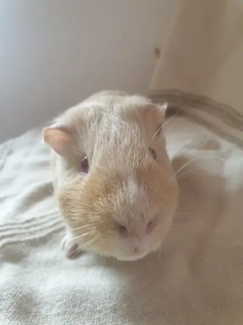 Russel photo 3