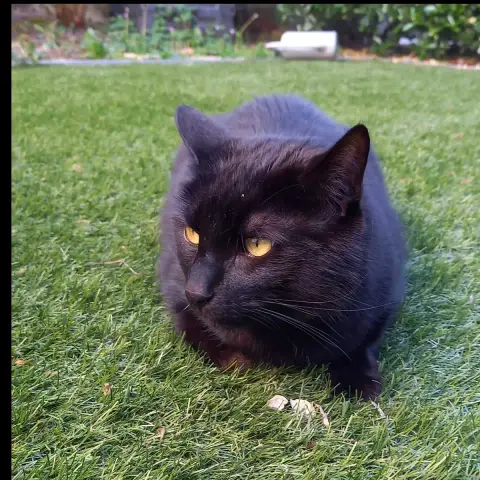 O'Malley photo 2