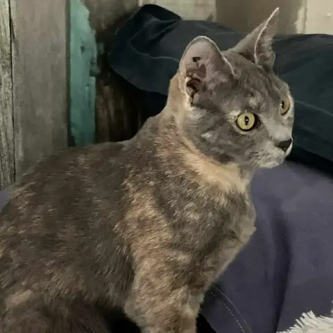 Cuba