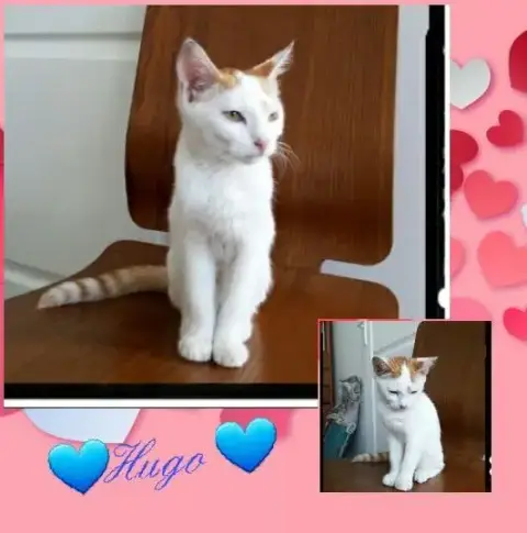 Laura Et Hugo photo 2