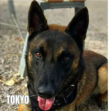 Tokyo