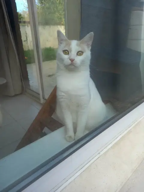 Tismy photo 2