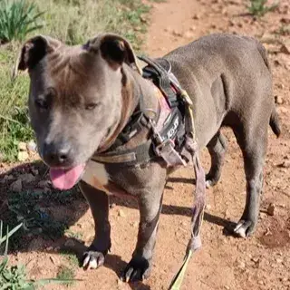 Sally photo 2