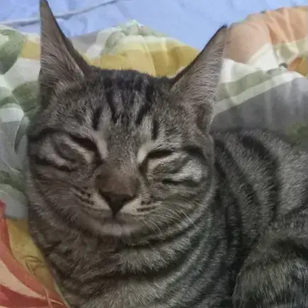 Stewie photo 2